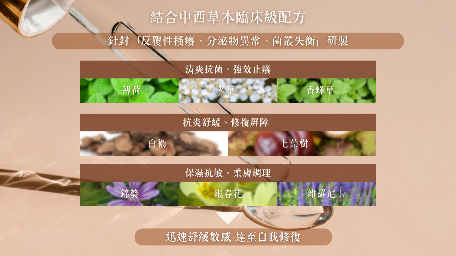 SERENE舒妍私密凝膠八種歐洲草本複合配方錦葵薄荷報春花羽衣草