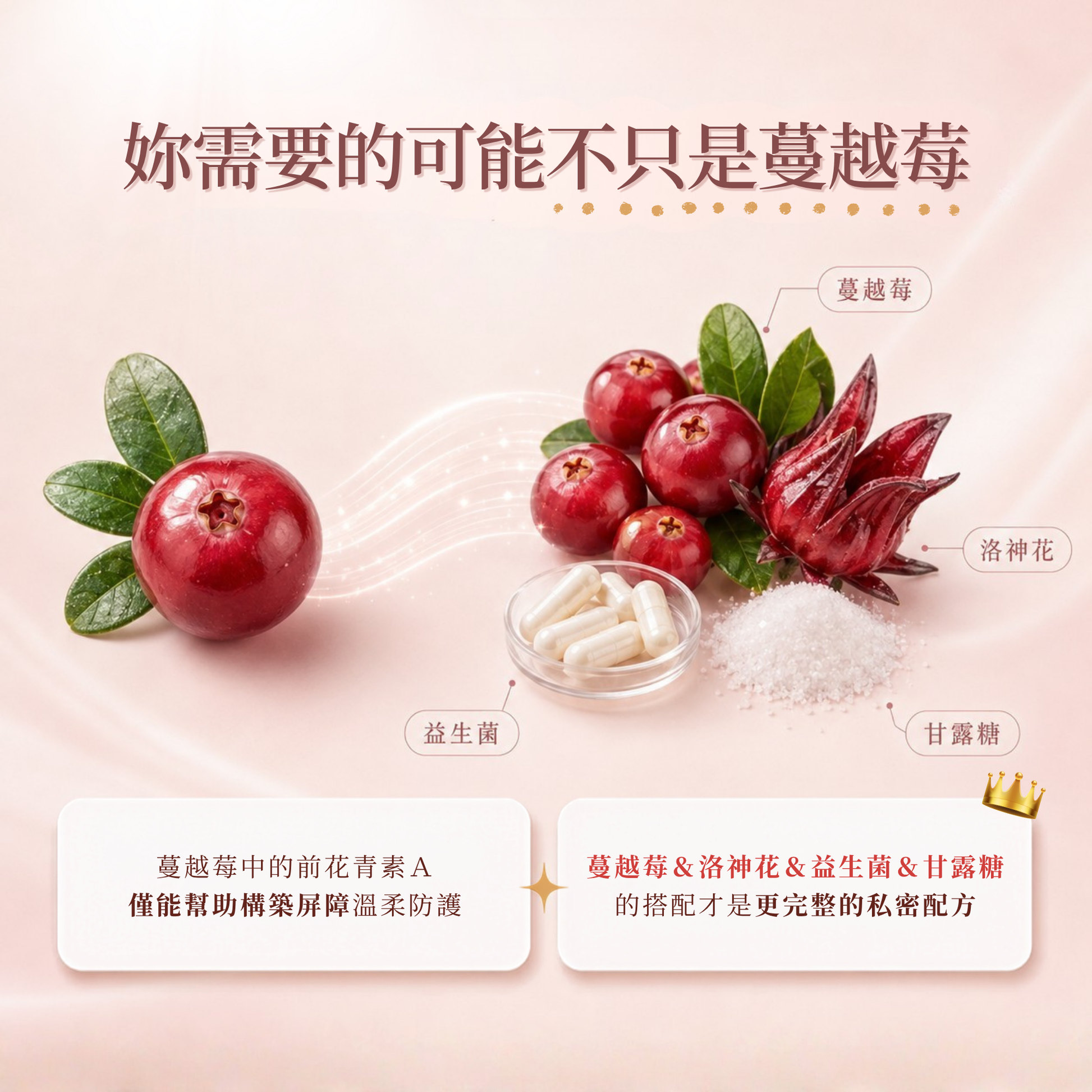 A promotional graphic on a soft pink background featuring red berries and a dried flower labeled in Chinese, with a small dish of white capsules and white powder. Large Chinese text appears at the top, and two white text boxes with product claims appear at the bottom.